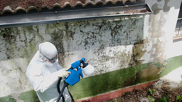 Top rated local Mold Removal specialists in Red Bank, TN